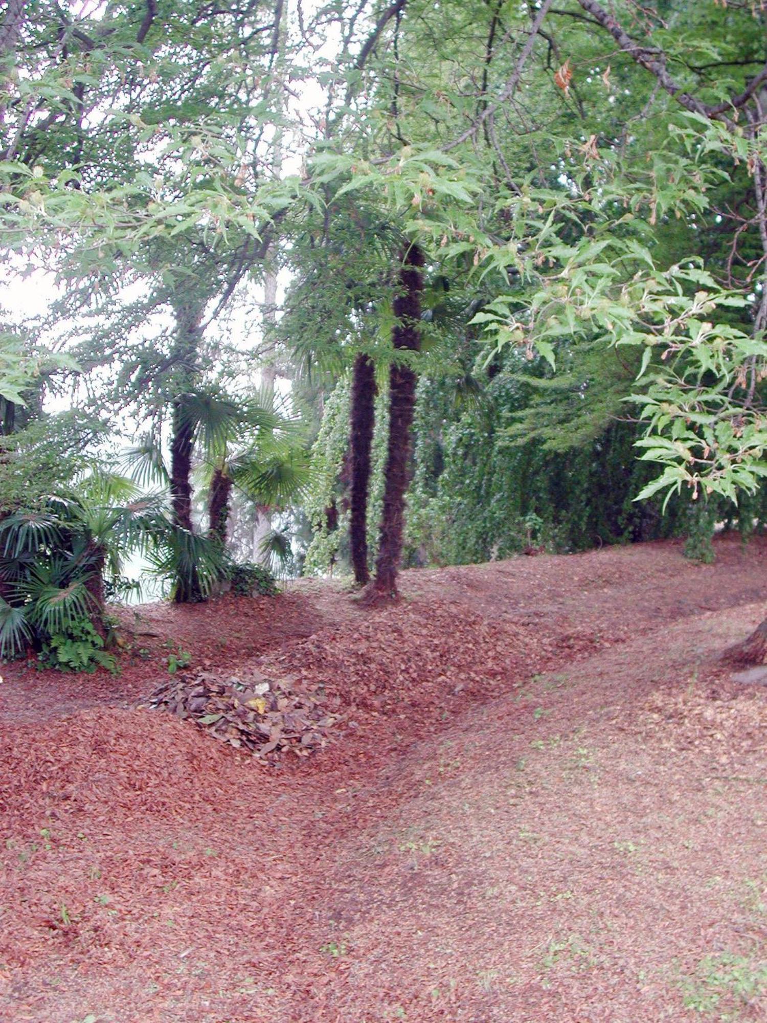 Villa Cernigliaro Sordevolo Esterno foto
