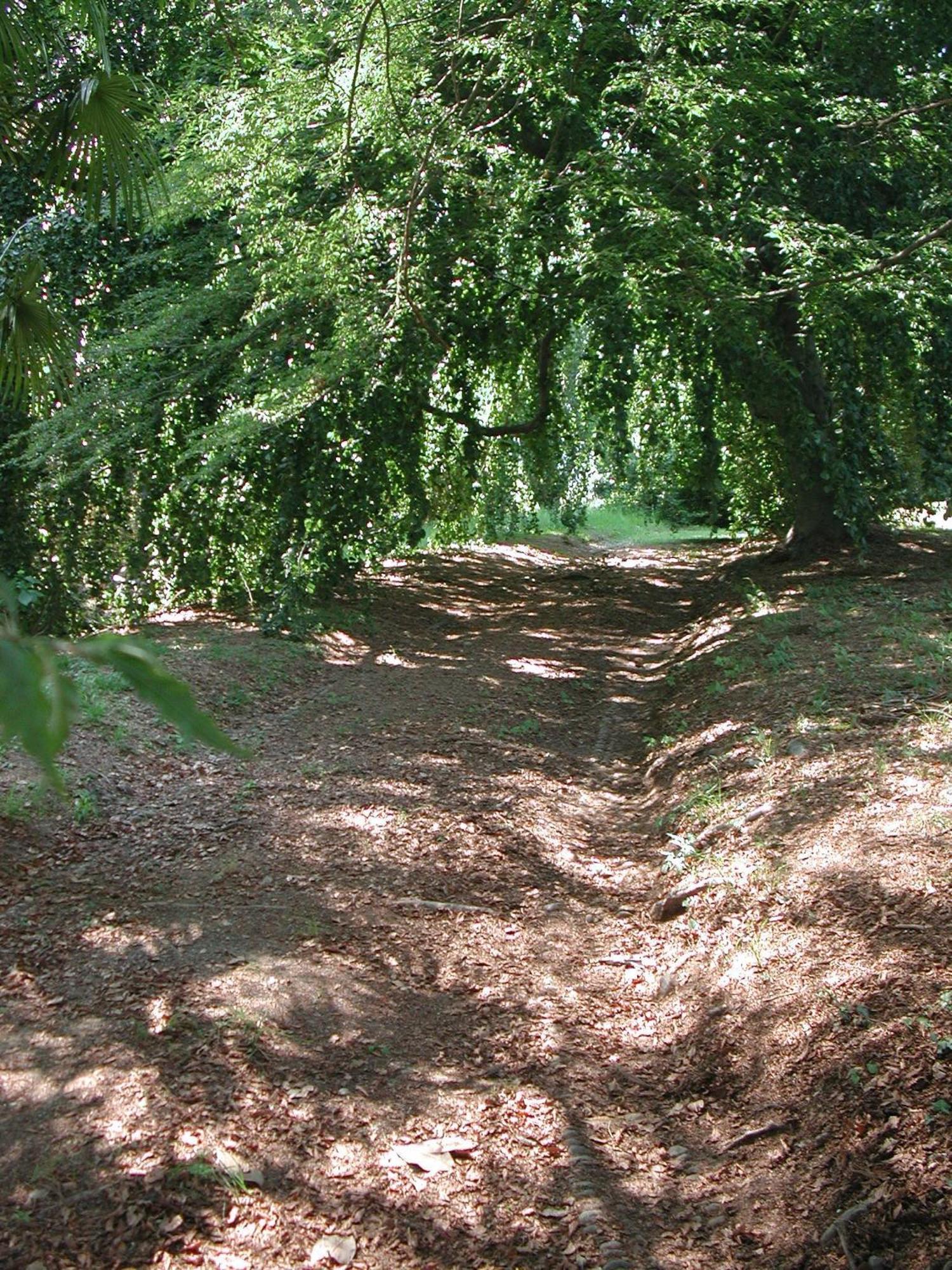 Villa Cernigliaro Sordevolo Esterno foto