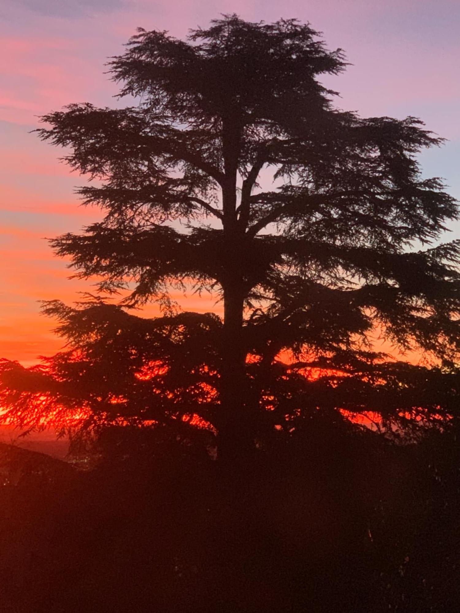 Villa Cernigliaro Sordevolo Esterno foto